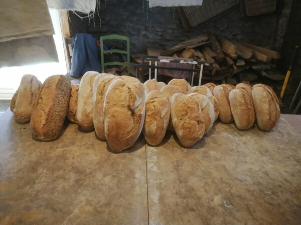 Le pain perlin (bio, Lasseube) COMMANDEZ AVANT LUNDI 21H